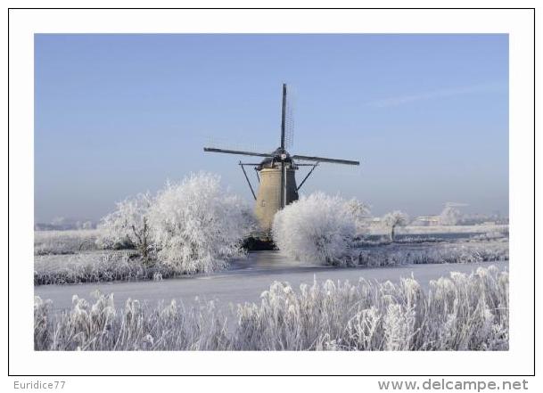 Windmills Of Pays Bas Postcard - Molinos De Viento