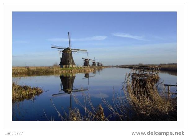 Windmills Of Pays Bas Postcard - Molinos De Viento