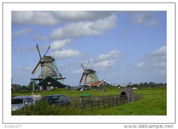 Windmills Of Pays Bas Postcard - Moulins à Vent