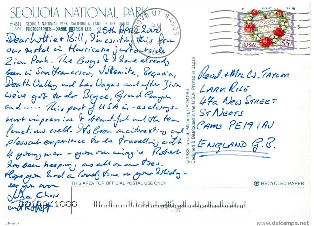 Sequoia NP, California, United States USA US Postcard Used Posted To UK 2000 Stamp - Autres & Non Classés