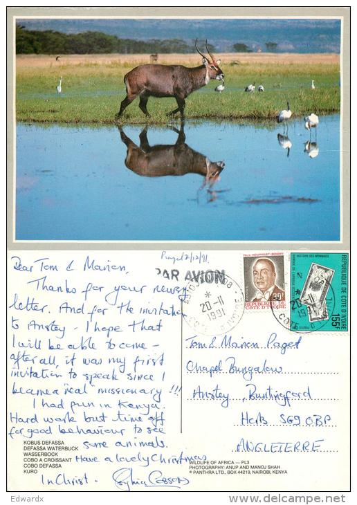 Defassa Waterbuck, Ivory Coast Cote D'Ivoire  Postcard Used Posted To UK 1991 Stamp - Ivory Coast