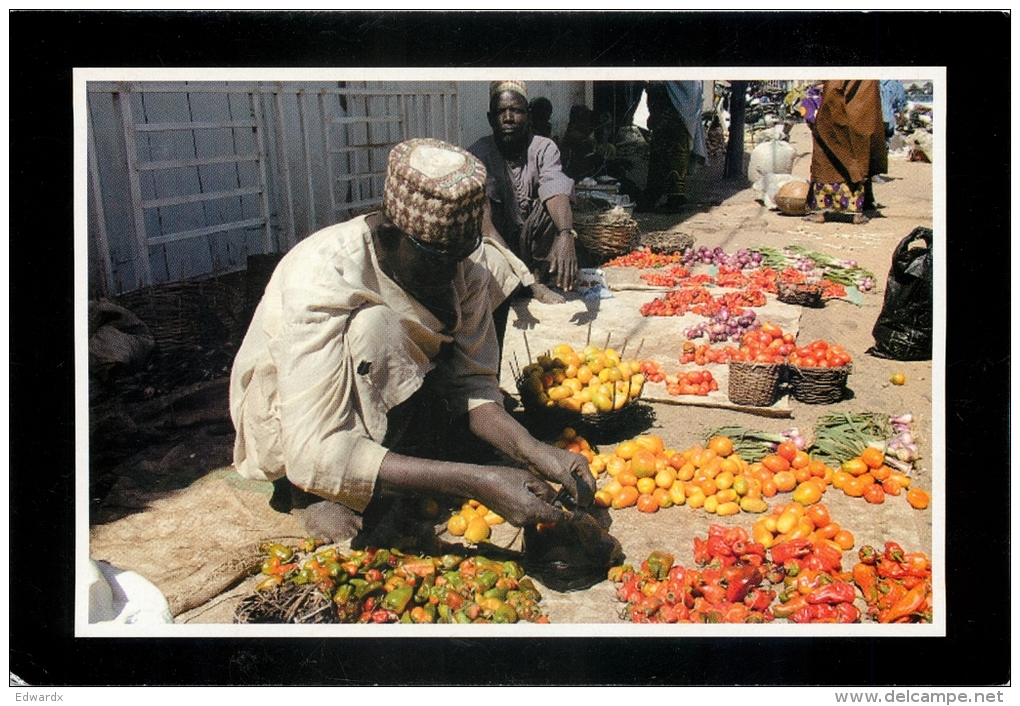 Ali Buda Selling Tomatoes In Gusau, Zamfara State, Nigeria Postcard - Nigeria