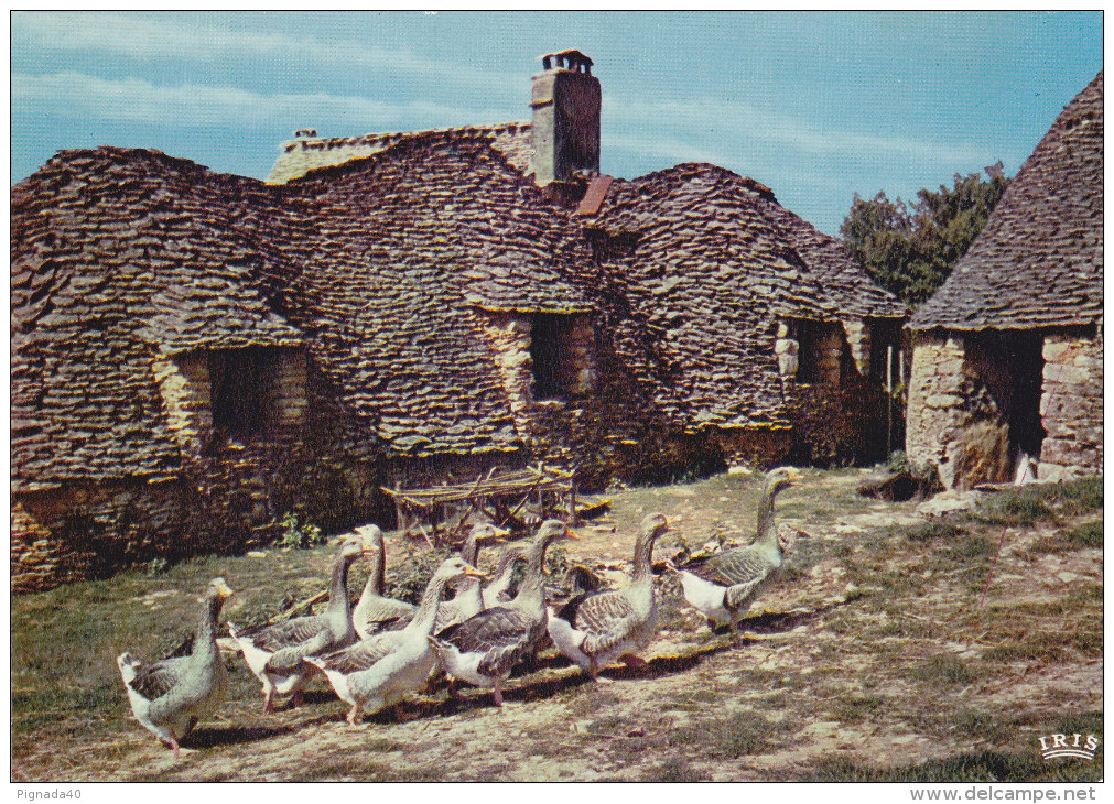 Cp , RÉGIONS , AQUITAINE , Au Coeur Du Perigord Noir , Les Bories , Cabanes De Pierres Sèches , Oies - Aquitaine