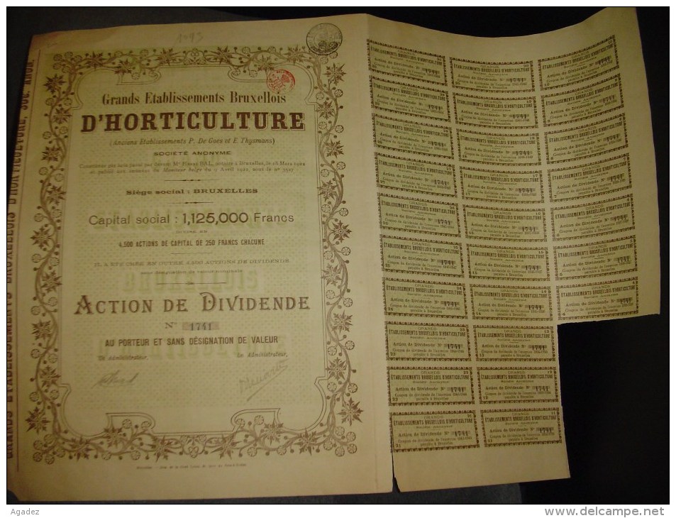 Action De Dividende " Grands établissements Bruxellois D'horticulture " Bruxelles 1922 - Agricultura