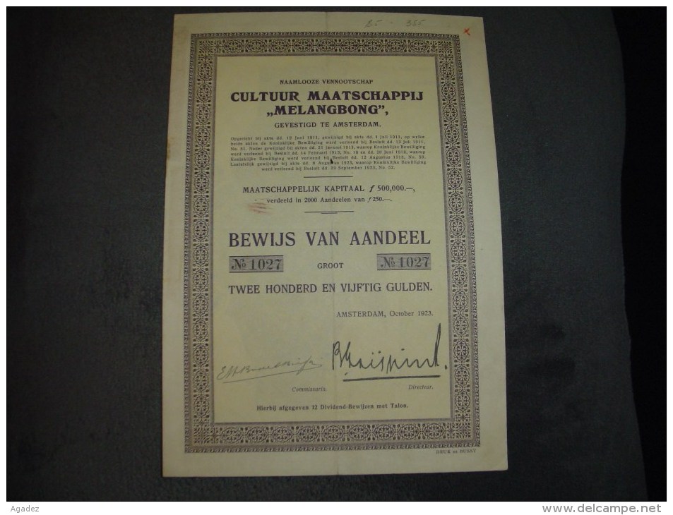 Aandeel"Cultuur Maatschappij Melangbong"Amsterdam 1923 - Agriculture