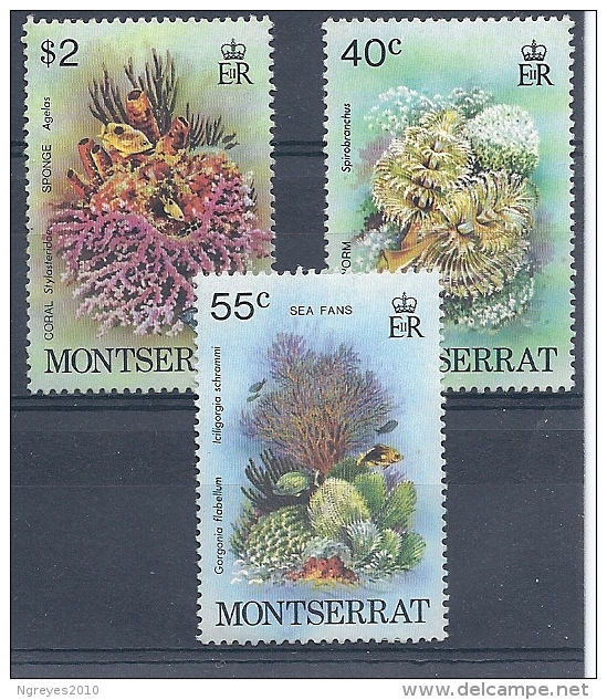 140012135  MONTSERRAT  YVERT  Nº  411/3  **/MNH - Montserrat