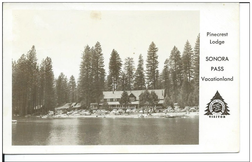 Pinecrest Lodge, Sonora Pass Vacationland, California, CA, 1950´s RPPC Real Photo Postcard # 9105 - Autres & Non Classés