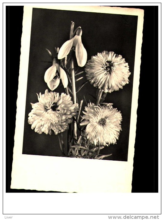 Fleurs 45 Cp - 5 - 99 Cartoline
