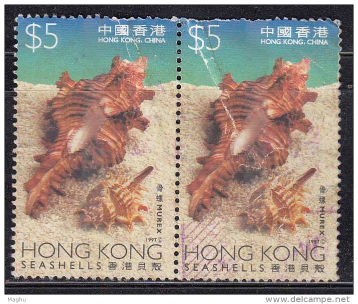 Hong Kong Used 1997, Seashells, Shell. Pair As Scan - Oblitérés