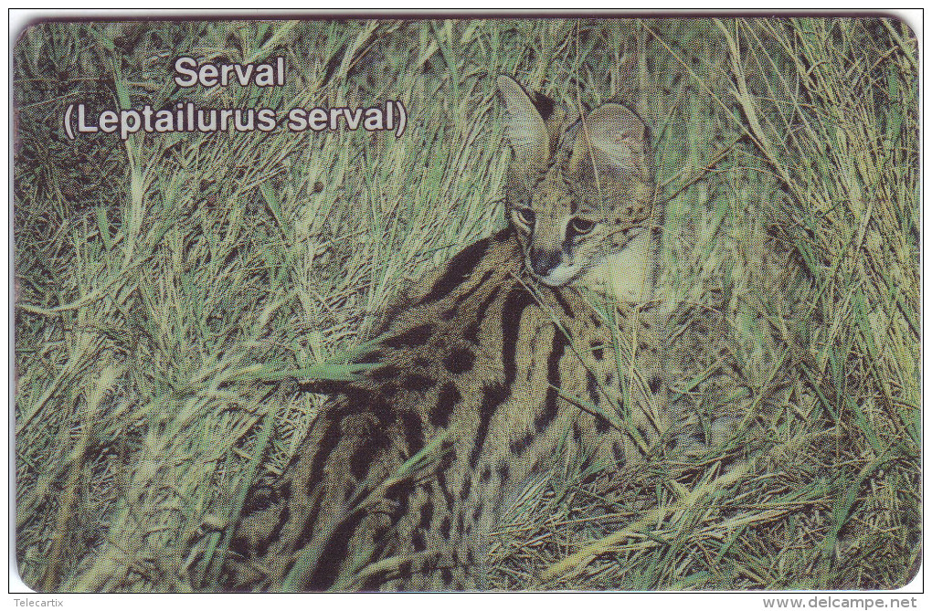 ***Télécarte à Puce De NAMIBIE "Serval" N$10 Utilisée **état Courant   A Saisir *** N° Lot :NAEI 0053 1191 - Namibië