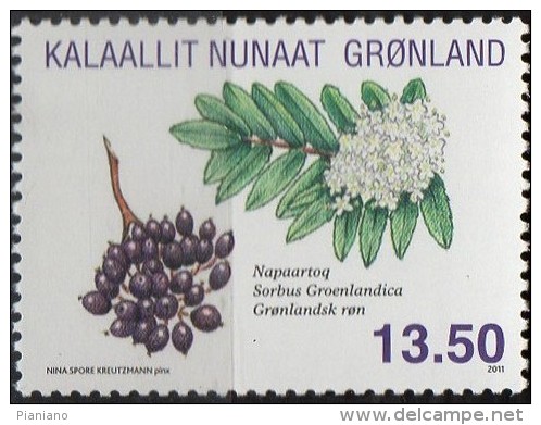 PIA -  GROENLANDIA - 2011 : Fiori E Frutta - Nuovi