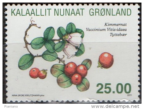 PIA -  GROENLANDIA - 2011 : Fiori E Frutta - Unused Stamps