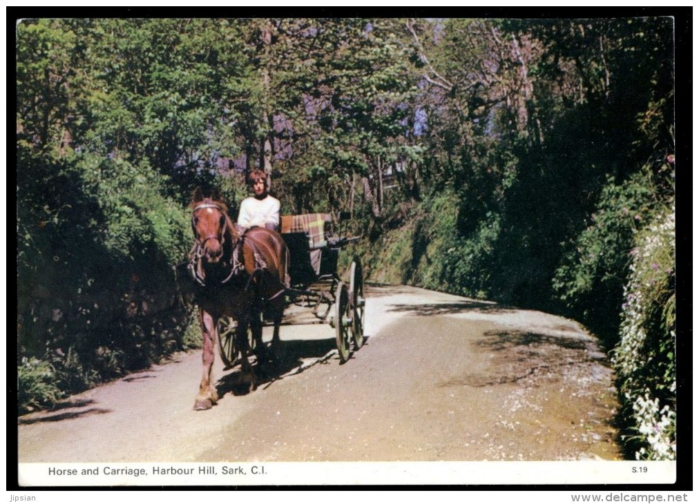 Cpsm Royaume Uni Sark Sercq Horse And Carriage , Harbour Hill ..  Guernsey    AVR17 - Sark