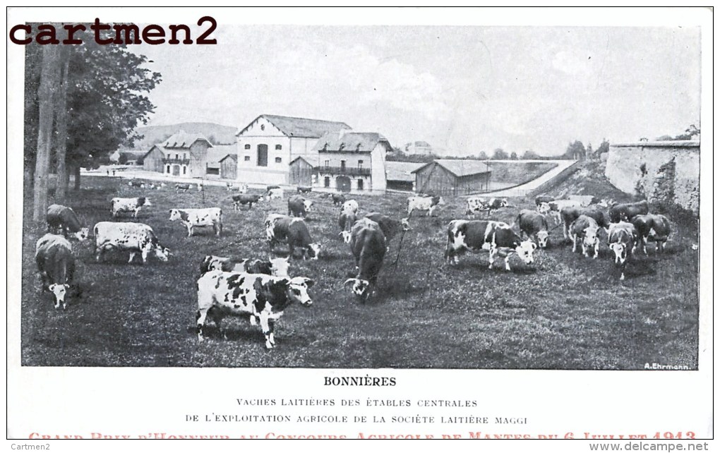 BONNIERES VACHES LAITIERES DES ETABLES CENTRALES EXPLOITATION AGRICOLE DE LA SOCIETE LAITIERE MAGGI CONCOURS DE MANTES - Bonnieres Sur Seine