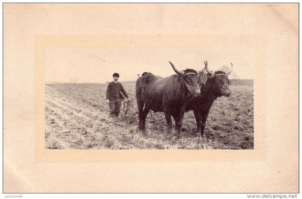 SCENE DE LABOURAGE TRAVAUX DES CHAMPS ATTELAGE DE BOEUFS - Spannen