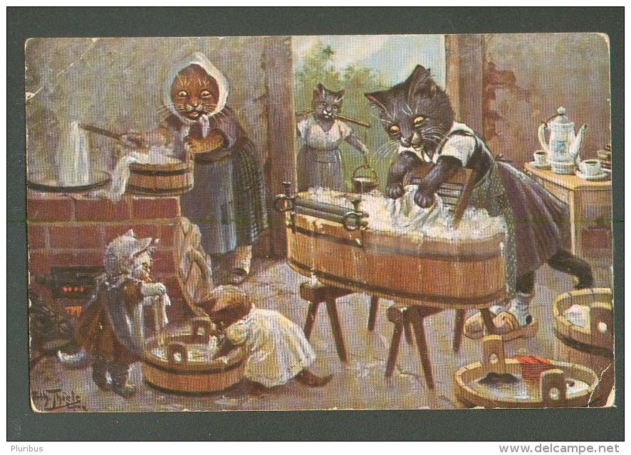 CAT  CATS  WASHDAY  , SIGNED  THIELE  ,  OLD POSTCARD, 0 - Thiele, Arthur