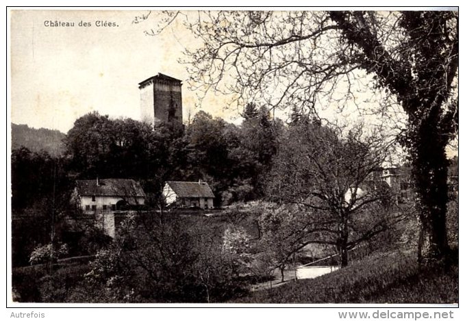 SUISSE  -  CHATEAU DE CLEES - Les Clées