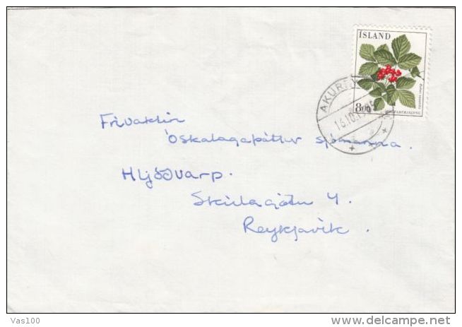 STONE BRAMBLE, STAMPS ON COVER, 1985, ICELAND - Lettres & Documents