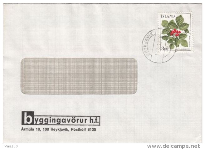 STONE BRAMBLE, STAMPS ON COVER, 1985, ICELAND - Lettres & Documents