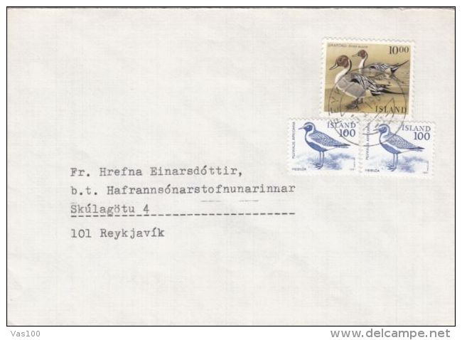 BIRDS, DUCKS, PLOVER, STAMPS ON COVER, 1987, ICELAND - Cartas & Documentos