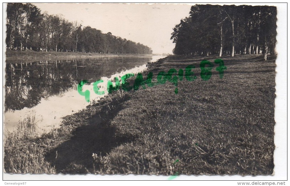 50 -  CARENTAN - LES BORDS DU CANAL DU HAUT DICK - Carentan