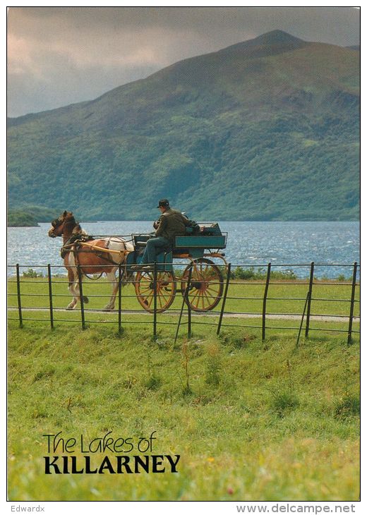 Jaunting Car And Lakes Of Killarney, Co Kerry, Ireland Postcard - Kerry