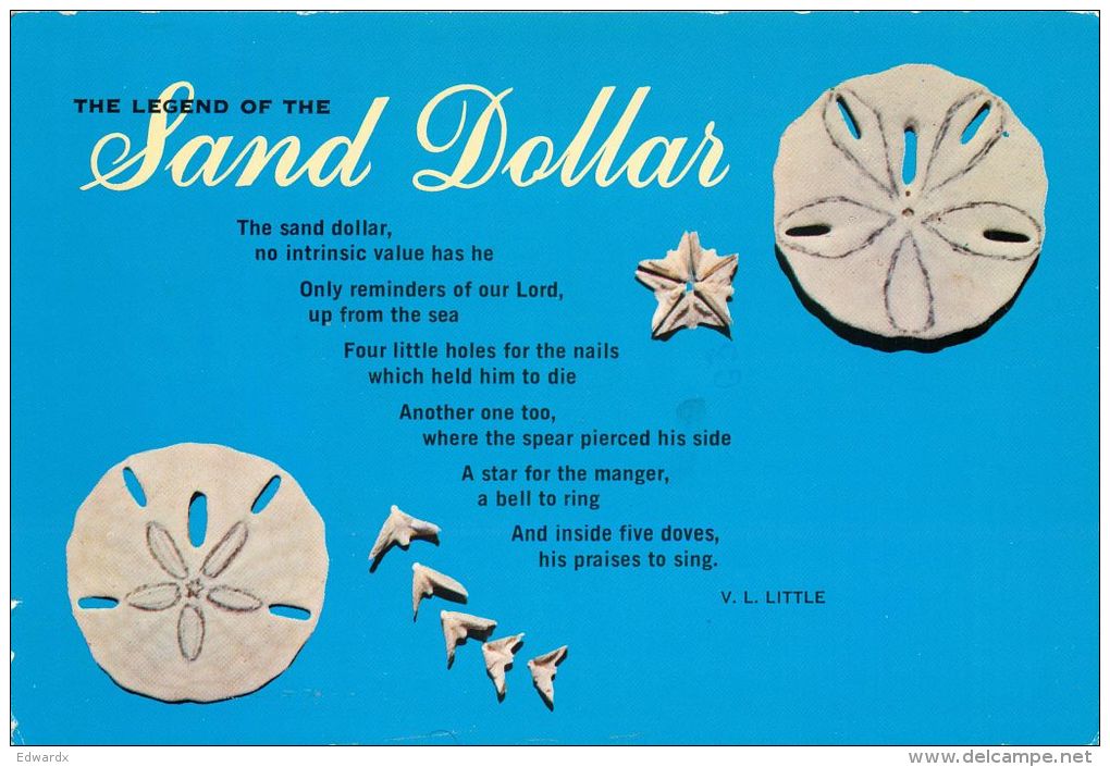 Legend Of The Sand Dollar, USA Postcard Used Posted To UK 1988 Stamp - Poissons Et Crustacés