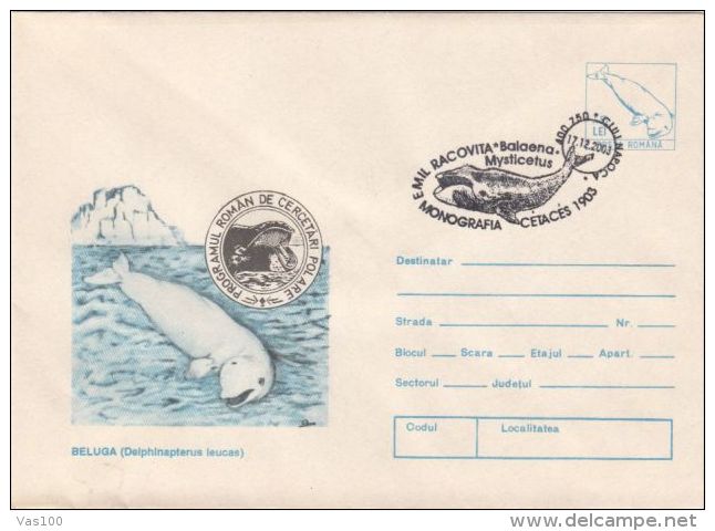 WHALES, BELUGA, WHITE WHALE, COVER STATIONERY, ENTIER POSTAL, 2003, ROMANIA - Baleines