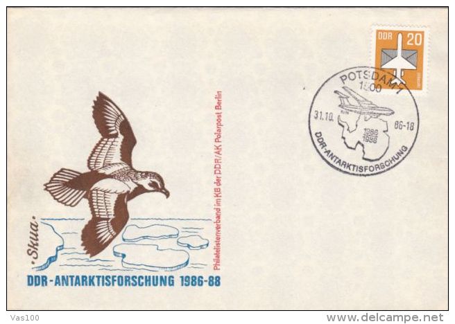 SKUA SEAGULL, PLANE, ANTARCTICA, SPECIAL COVER, 1986, GERMANY - Faune Antarctique