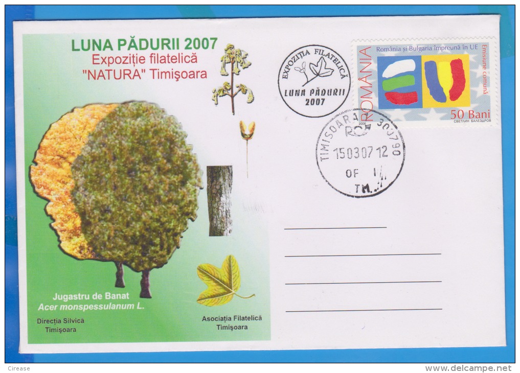 TREES, FOREST WEEK, ACER MONSPESSULANUM, SPECIAL COVER,  ROMANIA 2007 - Bäume