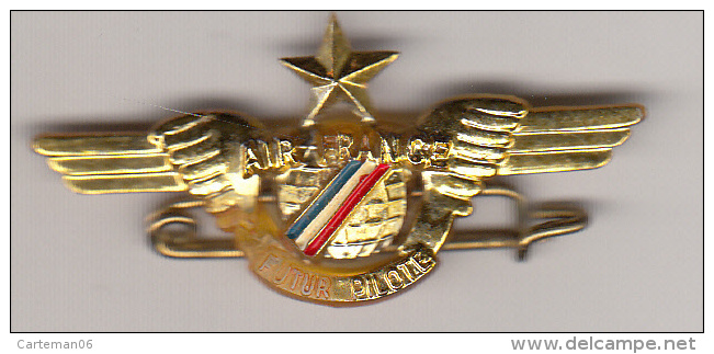 Insigne En Plastique - Air France - Future Pilote - Crew Badges