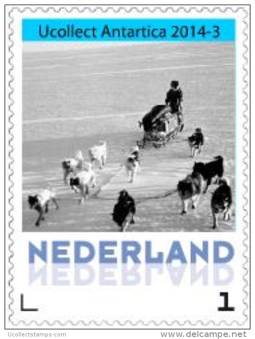 Nederland 2014-1  Ucollect Antartica  Sledehond  Postfris/mnh - Unused Stamps