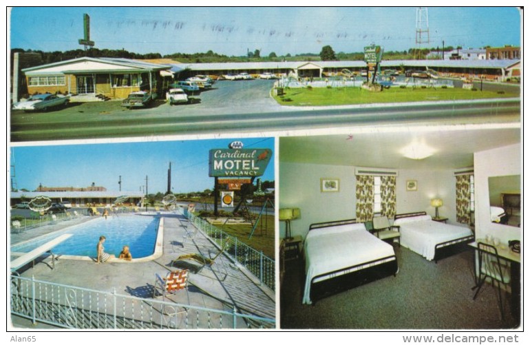 Elizabethtown Kentucky, Cardinal Motel &amp; Dining Room, Auto, Room Interior View, C1960s Vintage Postcard - Other & Unclassified