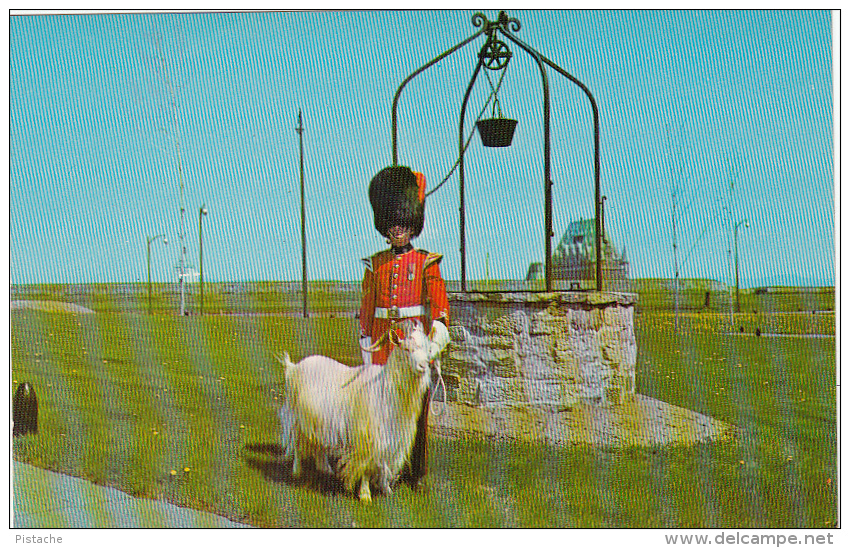Québec Citadel Citadelle - Royal 22 Regiment Military - Mascot Goat Batisse Baptist - Unused - VG Condition - Québec - La Citadelle