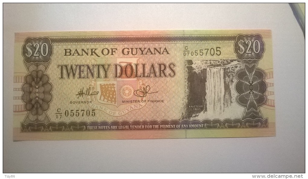 BANK OF GUYANA - 20 DOLLARS - Guyana