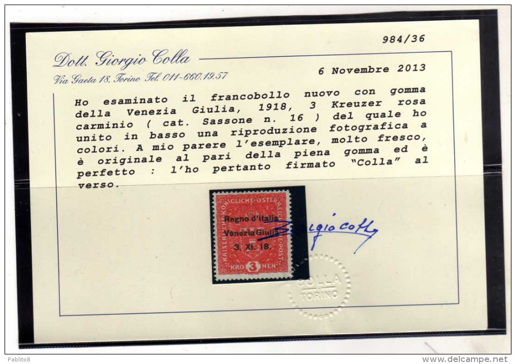 VENEZIA GIULIA 1918 SOPRASTAMPATO AUSTRIA OVERPRINTED K 3 CORONE KROWN MH CERTIFICATO COLLA - Vénétie Julienne