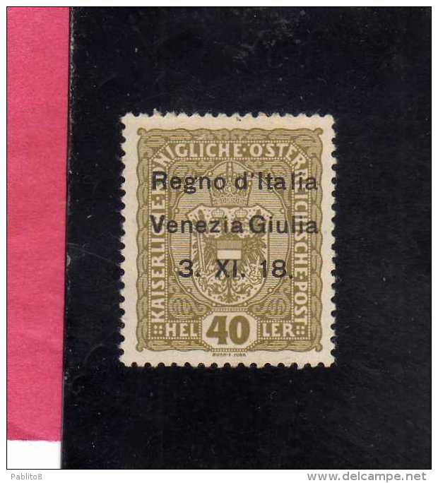 VENEZIA GIULIA 1918 SOPRASTAMPATO AUSTRIA OVERPRINTED H 40 HELLER MH FIRMATO SIGNED - Venezia Giulia