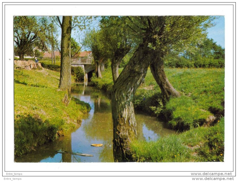 L'avesnois Landrecies Rivierette - Landrecies