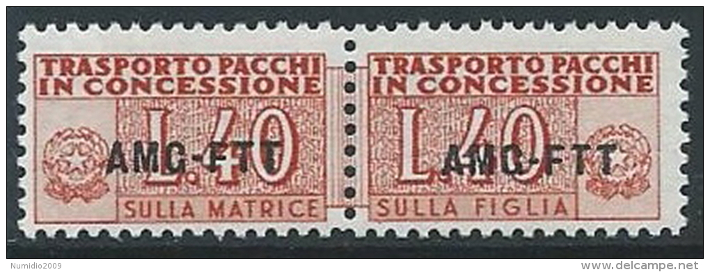 1953 TRIESTE A PACCHI IN CONCESSIONE 40 LIRE MNH ** - ED058 - Colis Postaux/concession