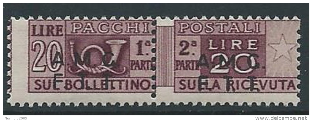 1947-48 TRIESTE A PACCHI POSTALI 20 LIRE MNH ** - ED065-7 - Postal And Consigned Parcels