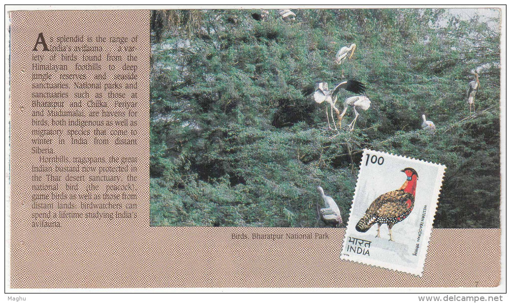 Holiday Resort, Sanctuaries, Horse Butterfly, Conservation, Bird,  A Leaf From Booklet, 1989 - Cigognes & échassiers