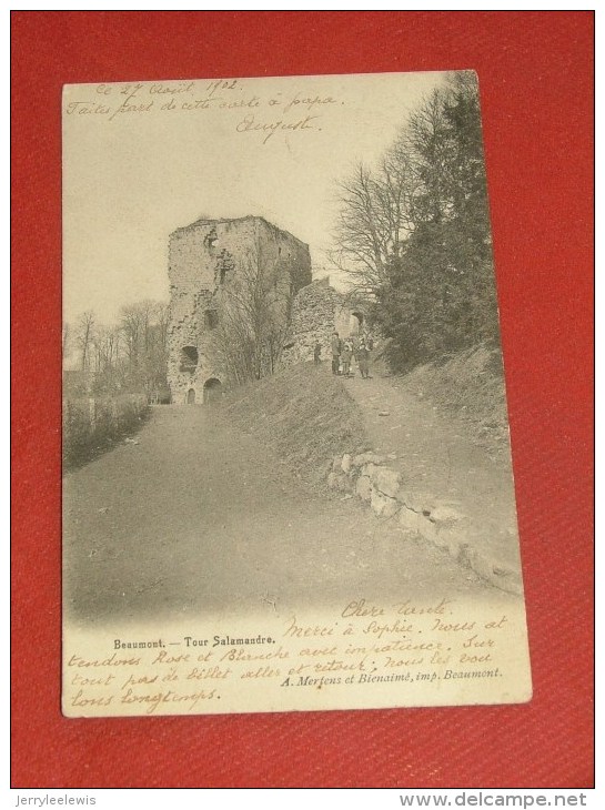 BEAUMONT  -  Tour  Salamandre  -  1902  - (2 Scans) - Beaumont