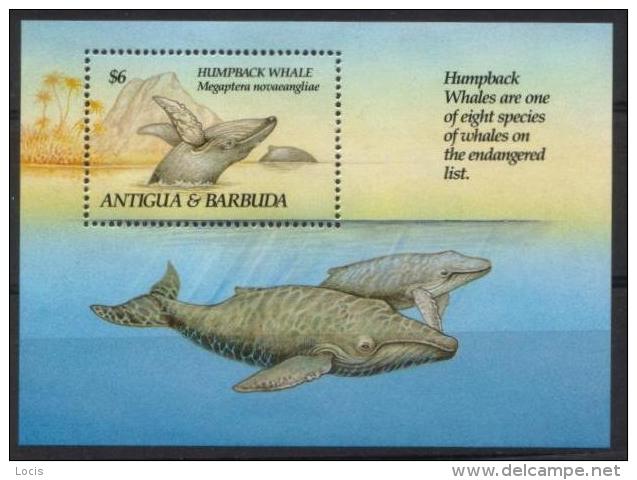 ANTIGUA And BARBUDA  S/S 1993 MNH** - Baleines