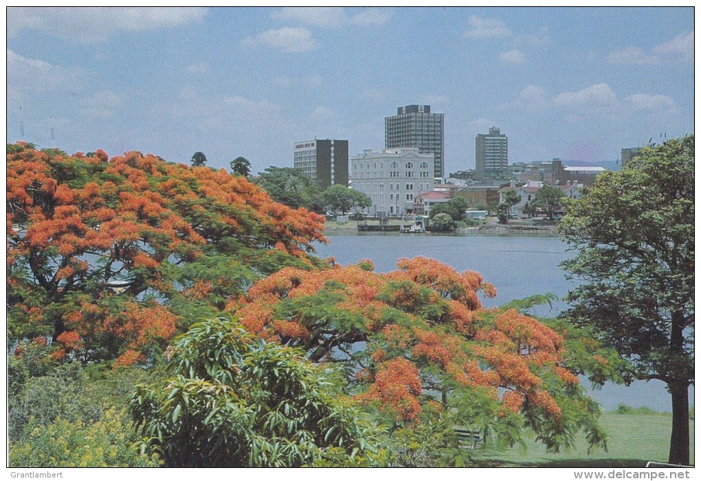 View Of Brisbane With Poinciana Trees In Foreground - AP 81.1.76 Prepaid PC Unused - Brisbane