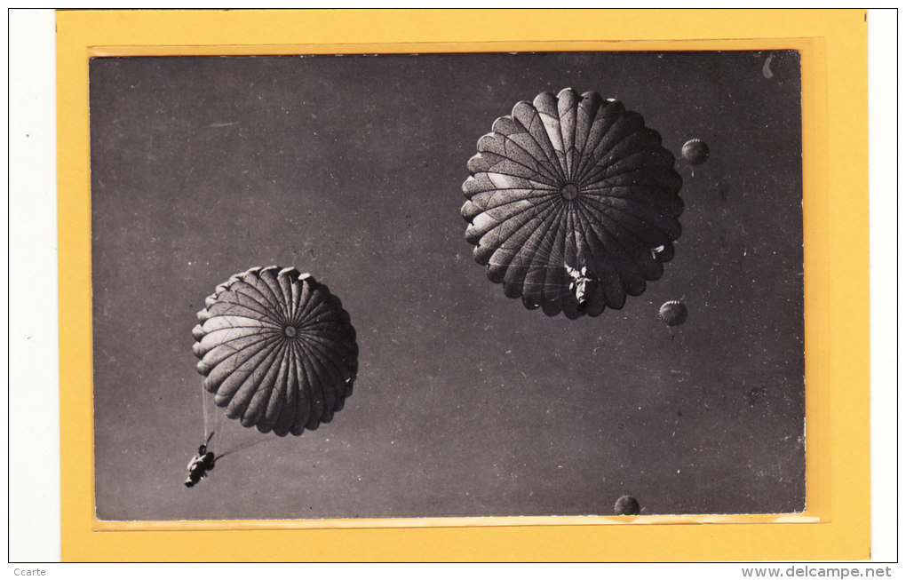 SPORTS / PARACHUTISME / Carte Photo De Parachutiste Descente En Groupe - Parachutisme