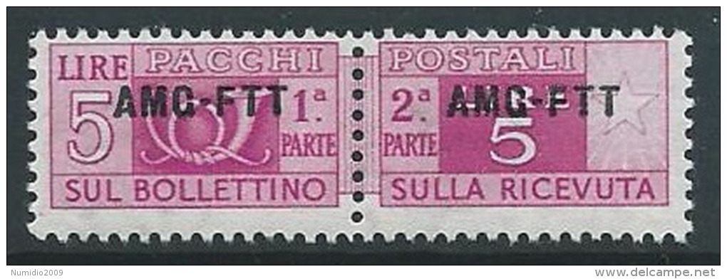 1949-53 TRIESTE A PACCHI POSTALI 5 LIRE MNH ** - ED076-3 - Postal And Consigned Parcels