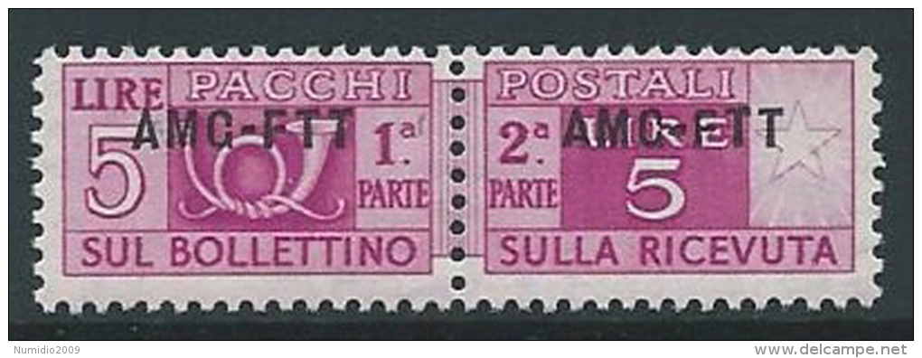 1949-53 TRIESTE A PACCHI POSTALI 5 LIRE MNH ** - ED076-7 - Colis Postaux/concession