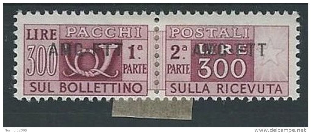 1949-53 TRIESTE A PACCHI POSTALI 300 LIRE MH * - ED081 - Colis Postaux/concession