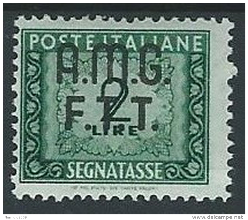 1947-49 TRIESTE A SEGNATASSE 2 LIRE MH * - ED085-2 - Taxe