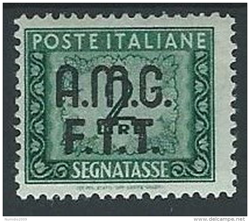 1947-49 TRIESTE A SEGNATASSE 2 LIRE MH * - ED085-3 - Strafport